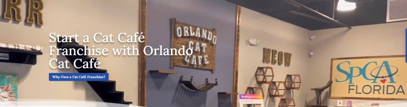 Orlando Cat Café Franchise