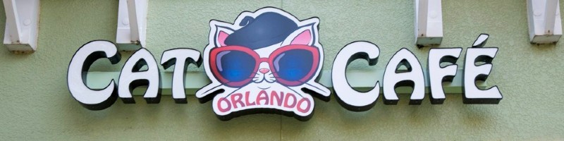 Orlando Cat Café Franchise