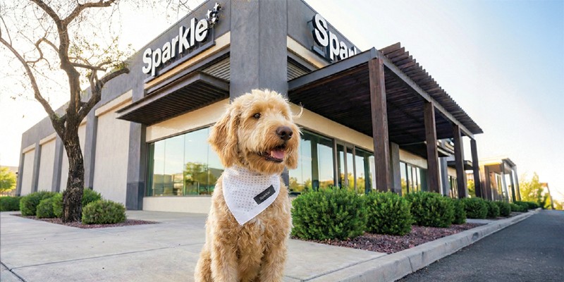 sparkle grooming co. franchise opportunities DFW