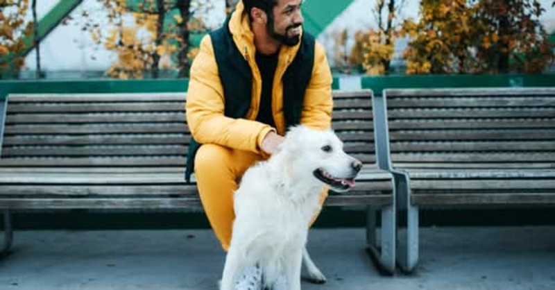 sparkle grooming co. franchise opportunities DFW